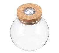 WEKADRIN Fish Tank Landscape Bottle with LED Light and Glass for DIY Moss Ball and Indoor Home Decoration