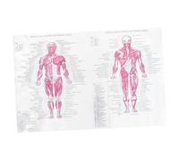 WEKADRIN Human Skeleton Anatomy Poster Educational Skeletal System Chart for School Classroom Laboratory Teaching and Home Wall Decor