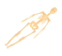 WEKADRIN Human Skeleton Model Educational Anatomy Sturdy Plastic Full-body Skeleton Figure for Student Learning and DIY Assembly Realistic Teaching Aid for Science and Medical Study