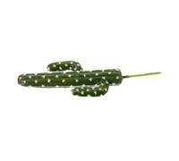 WEKADRIN Large Simulation Cactus Fake Plant for Aquarium and Garden DIY Micro Landscape Bright Green Irregular Cacti Decoration for Fairy Gardens Terrariums and Home Displays