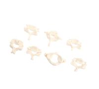 WEKADRIN Life Cervical Spine Model Medical Teaching Tool PVC Anatomical Vertebrae for Science Education Student Doctor Use