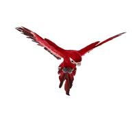 WEKADRIN Realistic 45cm Red Spreading Wings Parrot Statue Garden Ornament Outdoor Home Decoration Simulated Parrot Sculpture for Patio and Stage Display