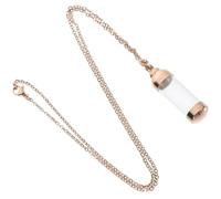 WEKADRIN Rose Gold Stainless Steel Pet Urn Necklace with Glass Cylinder Pendant, Cremation Ashes Keepsake Memorial Jewelry for Dogs and Cats, Human Memorial Urn Pendant for Tribute