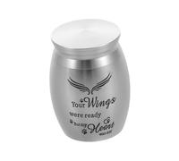 WEKADRIN Small Pet Urn Stainless Steel Cremation Ashes Box with Guardian Wing Design Portable Memorial Keepsake for Dog and Cat Funeral Burial