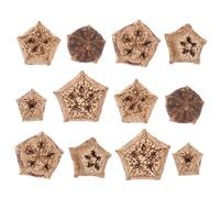 WEKAMOS 12pcs Natural Walnut Parrot Chew for Birds Safe Foraging Shredding to Reduce Boredom and Protect Furniture Suitable for Parakeets Macaws and Caged Birds