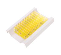 WEKAMOS 12pcs Prepared Plastic Microscope Slides for Biology Education Botany Specimens Collection Safe Smooth Edges for Entry Level Students and Home School Science Learning