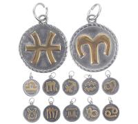 WEKAMOS 12pcs Stainless Steel Zodiac Charms DIY Jewelry Making Pendants Astrology Craft Supplies for Handmade Necklaces Keychains Gifts