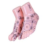 WEKAMOS 1pair Foot Acupuncture Training Models for Reflexology Practice Education Foot Massage Simulation for Schools Clinics and Hospitals