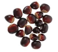 WEKAMOS 24pcs Realistic Fake Chestnut Set Lifelike Artificial Nuts for Home Party Decoration Autumn and Christmas Holiday Props Lightweight Simulation Chestnut Models for Photography and