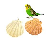 WEKAMOS 2pcs Calcium Mineral Pet Molars Stone Parrot Shell Design for Bird Guinea Pig Puppy and Small Pet Teeth Grinding