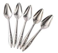 WEKAMOS 5Pcs Stainless Steel Bird Feeder Spoon Multi Function Feeding Tool for Parrots Cockatiels Small to Medium Birds Durable Lightweight Hand Feeding Accessories