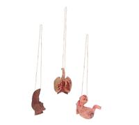 WEKAMOS Halloween 3pcs Broken Realistic Human Organ Props Set - Simulated Liver and Stomach Apparatus Decoration for Scary and Horror Party Accessories