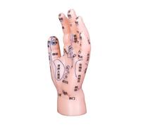 WEKAMOS Hand Reflexology Model for Acupuncture and Massage Training Hand Zone Simulation Model for Schools and Clinics Learning Tool for Reflexology Techniques