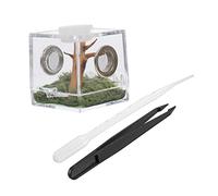 WEKAMOS Jumping Spider Breeding Box Small Non-trap Setup Case for Florida Jumping Spider Insect Feeding Box