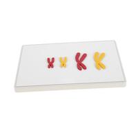 WEKAMOS Magnetic Change Model Biology Teaching Aid for Middle School Science Demonstrates Changes During Easy Assembly Magnetic Biology Supply for Classroom