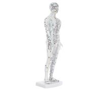 WEKAMOS Traditional Chinese Medicine Meridian Model Body Acupuncture Model Acupoint Learning Display White