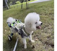 WEKONUMEX Adjustable Pets Cart Wheelchair, Dog Wheelchair 2 Wheels Adjustable Foldable Lightweight Aluminum Alloy Pet Mobility Aid Size XXXS-L(XS)