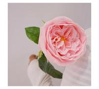 WEKONUMEX Artificial Silk Flowers, Silk Artificial Austin Roses Pack Of 5 Multicolor 48cm(Light Pink)
