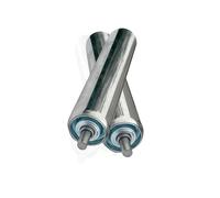 WEKONUMEX Conveyor Roller, 2 Pack Stainless Steel Unpowered Conveyor Rollers Multiple Lengths Replacement Roller(Diameter 25mm/1 inch,L 900mm)