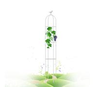 WEKONUMEX Garden Obelisk Trellis, for Climbing Plants Metal Round Obelisk with Plastic Ring 21x120cm-35x150cm Tomato Cage Plant Tower Support(White,25x120cm(9.8x47in))