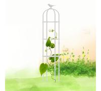 WEKONUMEX Garden Obelisk Trellis, for Climbing Plants Stablize Round Obelisk Metal Cage High 120cm 150cm 160cm 180cm 190cm Potted Plant Support(White,31x160cm(12.2x63in))