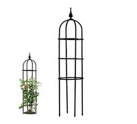 WEKONUMEX Garden Obelisk Trellis, Garden Plant Obelisk Trellis,47.3" 24" 29.5" 35.5" H Tower Plant Support,Flowers Vine Indoor Outdoor(6"/15cm Diax24/60cm H)