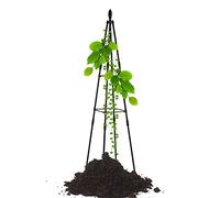 WEKONUMEX Garden Obelisk Trellis, Tower Outdoor H 120cm/47in 160cm/63in,Plant Support Tower Obelisk Trellis Garden Trellises 80cm/31.5in(160cm/63in)