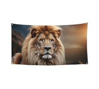 Welcome Banners Party Flag Photography Backdrop Background Banner Creative Animals Lion Sign Photo Props Banner for Fence Birthday Garden Party Supplies Favors Wall Decor Flag 70 x 35 Inch