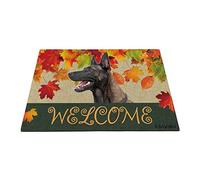Welcome Fall With My Favorite Dog Belgian Malinois, Maple Leaf Harvest Season Indoor Outdoor Mats Comfortable Bathroom Rug Funny Bath Mat For Kitchen Hallway Doorstep 40X60Cm