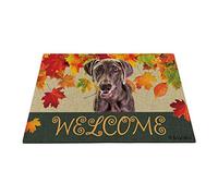 Welcome Fall With My Favorite Dog Weimaraner Dog, Maple Leaf Harvest Season Welcome Mat Non-Slip Entrance Rug Washable Floor Mats For Kitchen Office Hallway 40X60Cm