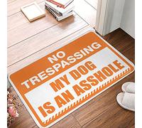Welcome Mat For Classroom No Trespassing My Dog Is An Assholes Rug Stuff For Your Room Fall Outdoor Rug For Front Doo(40X60CM)