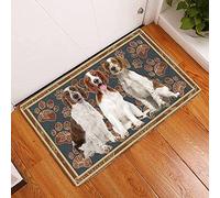 Welcome Mat Welsh Springer Spaniel Flower Paw Bathroom Mats Resist Dirt Non-Slip Kitchen Mats For Living Room Kitchen Office 40X60Cm
