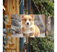 Welcome Signs Personalized Door Sign Wood for Front Door Corgi Dogs Wooden Signs Unfinished Wooden Plaque with String Home Decor Garden Sign for Garden Yard