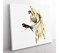 Welcome Swallows Bird by Elizabeth Gould Vintage Canvas Wall Art Print Ready to Hang, Framed Picture for Living Room Bedroom Home Office Décor, 50x50 cm (20x20 Inch)