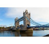 Welcome to London Ticket with optional London Eye - Choice of Ticket