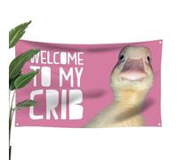 Welcome To My Crib Tapestry, Funny Welcome To My Crib Duck Flag, Wall Flag Dorm Room Tapestry, Indoor Outdoor Wall Art Tapestry For Bedroom Teens Room Decoration Living Room Bedroom