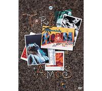 Welcome to Sunny Florida [DVD] [Region 1] [US Import] [NTSC]