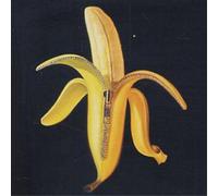 The Dandy Warhols - Welcome To The Monkey House