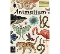 Welcome to the Museum: Animalium Collector's Edition: Written by Jenny Broom, 2014 Edition, Publisher: Big Picture Press [Hardcover]