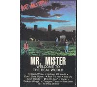 Welcome to the Real Worldmr. Mister [CASSETTE]