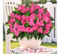 Weldomcor 3 Bundles Artificial Impatiens Flowers for Outdoors Rose Red Silk Faux Impatiens Flowers UV Resistant Shrubs Plants for Pot Patio Garden Balcony Hanging Basket Window Box Porch Decor