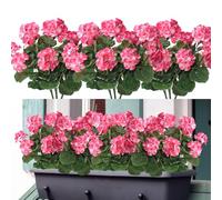 Weldomcor Artificial Flowers, 6 Bundles Outdoor and Indoor Fake Flowers, Geranium Flower Decoration Faux UV Resistant Geranium Bush for Hanging Garden Porch Window Box Decor, Pink
