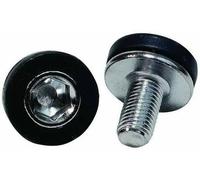 Weldtite Allen Key Crank Bolt X 2