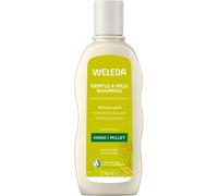Weleda Hair-care ShampooGently cleanses hair & scalp. Preserves the natural shineGentle & Mild Millet Shampoo