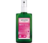 Weleda Wild Rose Deodorant, 100 ml 100 (Pack of 1)