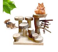 Welhammsae Wooden Hamster Playground Platform, Small Animal Activity Climb Platform with Stair, Hamster Ladder Toy, Natural Living Climb System, Climbing Bridge Ladder Ramps Toys for Mouse Hamster