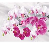 WELIWE 5D Diamond Painting Kits DIY Diamond Art Canvas Crystal Crafts Painting Pictures for Adults Kids Home Wall Decor Butterfly Orchid 40x50cm