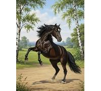 WELIWE Cross-Stitch Kits for Adults Beginners 11CT Stamped Embroidery Kits DIY Pre-Printed Canvas Art Home Decoration Animals: Horses 40x50 cm