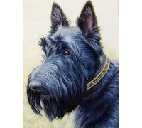 WELIWE Cross-Stitch Kits for Adults Beginners 11CT Stamped Embroidery Kits DIY Pre-Printed Canvas Art Home Decoration Scottish Terrier 40x50 cm