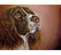 WELIWE Cross-Stitch Kits for Adults Beginners 11CT Stamped Embroidery Kits DIY Pre-Printed Canvas Art Home Decoration Springer Spaniel (40x 50cm)